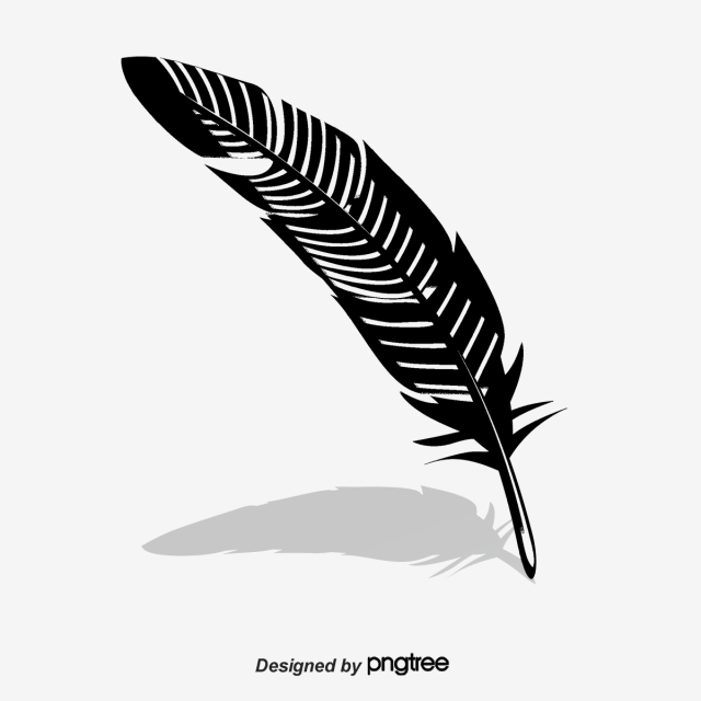 640x640 Vector Negro Y Plumas Blancas Blanco Y Negro Pluma Vector Png Y
