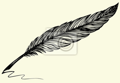 400x278 Vector Dibujo A Mano Alzada De Una Pluma De Ave Oscura Carteles