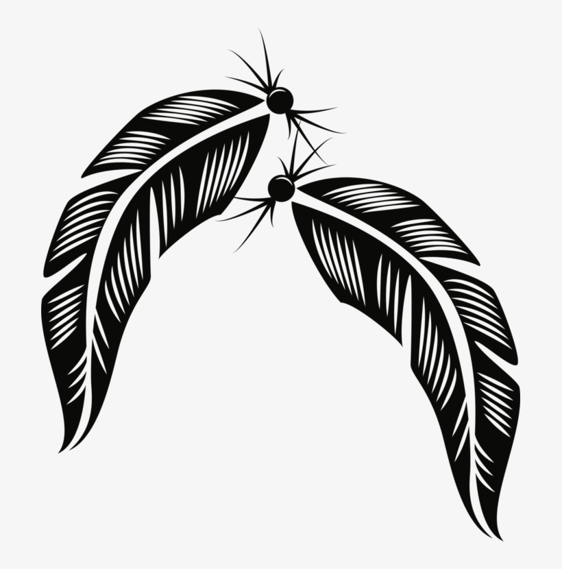 820x830 Feather Bird Description Plumage