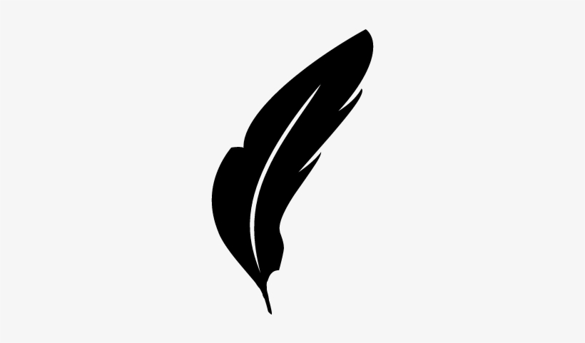 820x481 Feather Natural Animal Shape Vector