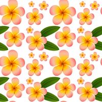 200x200 Plumeria Flower Free Vector Art