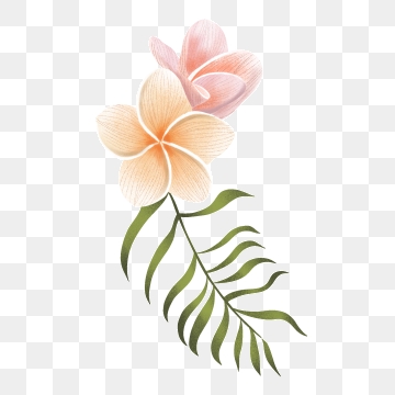 360x360 Plumeria Flower Png, Vector, And Clipart With Transparent