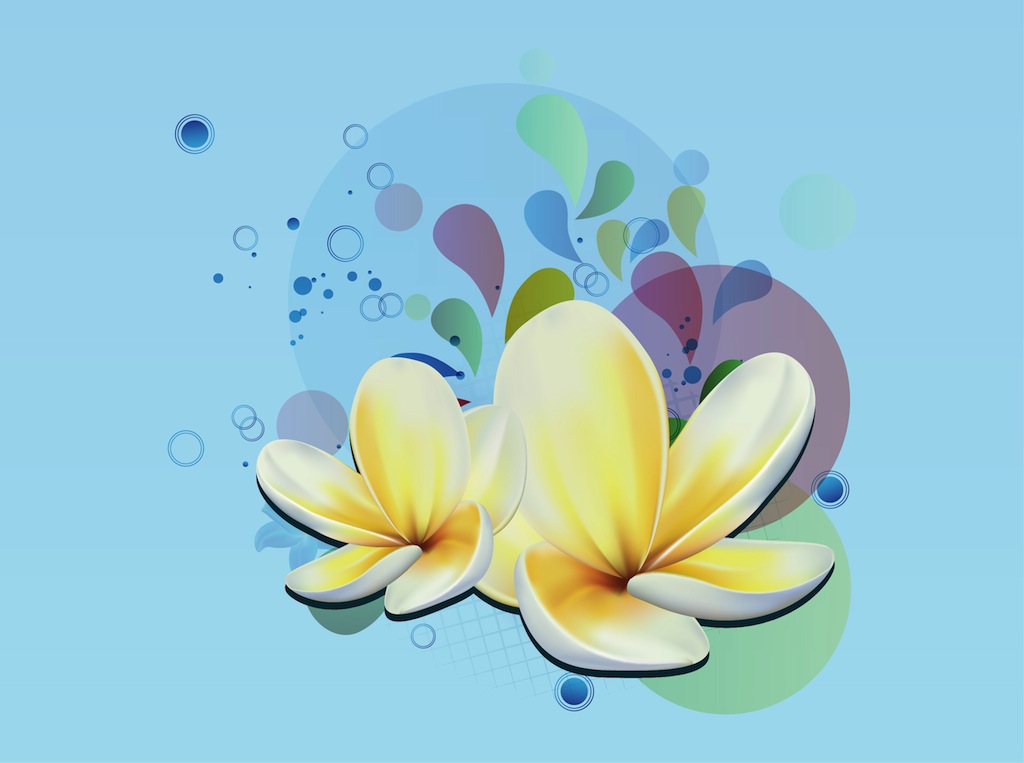 1024x763 Plumeria Vector Vector Art Graphics