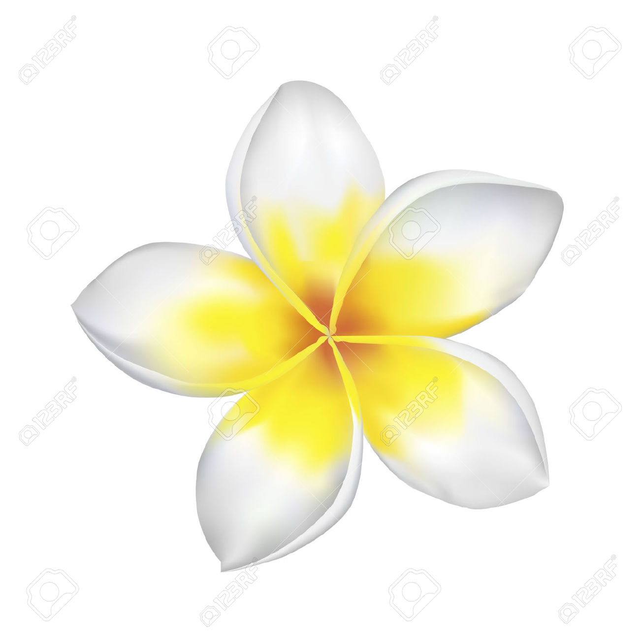 121 plumeria vector images at vectorified com 121 plumeria vector images at