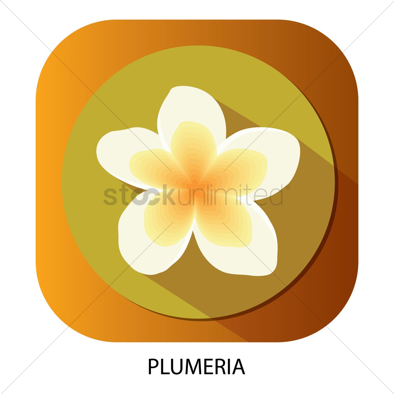 1300x1300 Plumeria Flower Vector Image