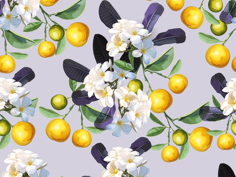 800x600 Plumeria Flower And Orange Fruit In Seamless Pattern