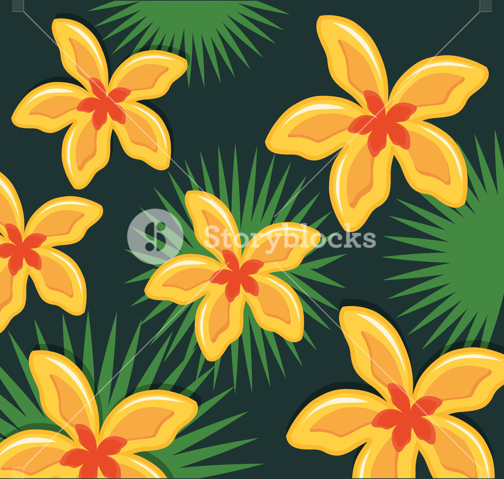 1000x951 Plumeria Flower And Tropical Leaves Background, Colorful Design