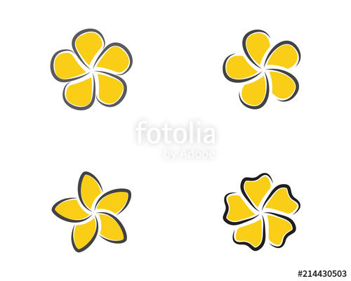 500x400 Beauty Plumeria Flowers Design Illustration Stock Image