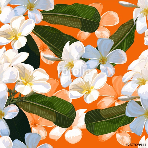 500x500 Floral Seamless Pattern With Plumeria Flower