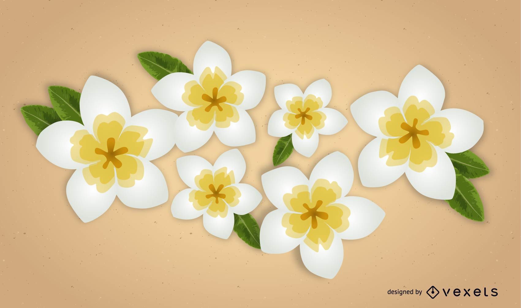 Plumeria Vector At Collection Of Plumeria Vector Free