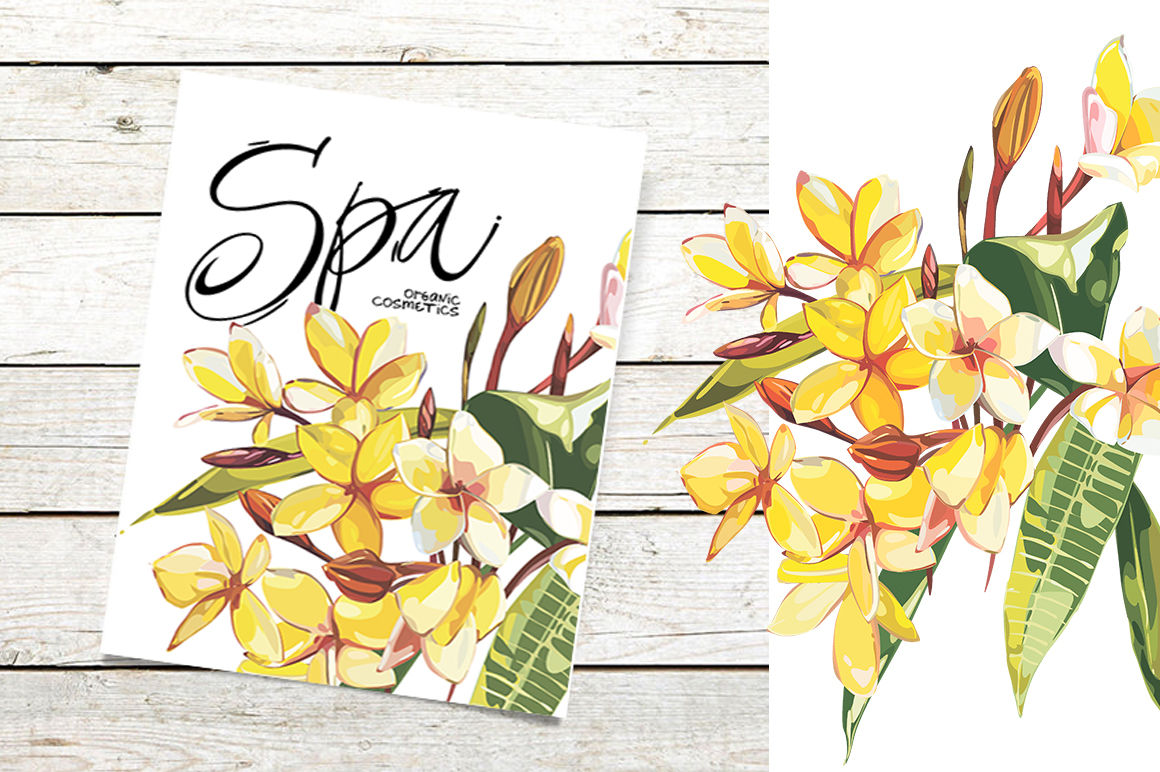 1160x772 Plumeria Vector Set! Elements