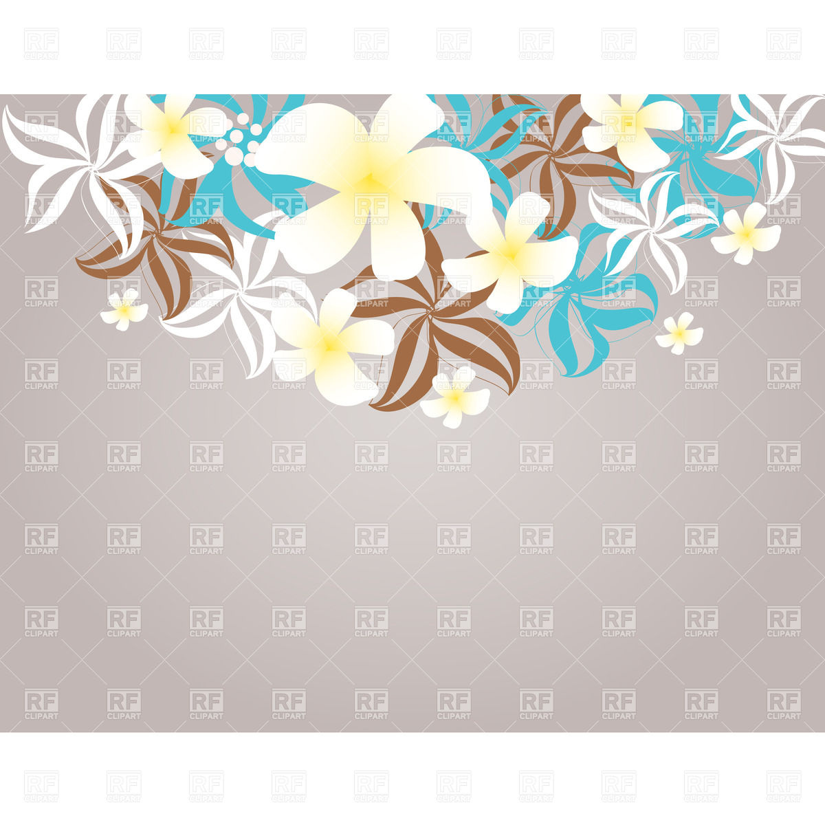 1200x1200 Tropical Flowers Frangipani