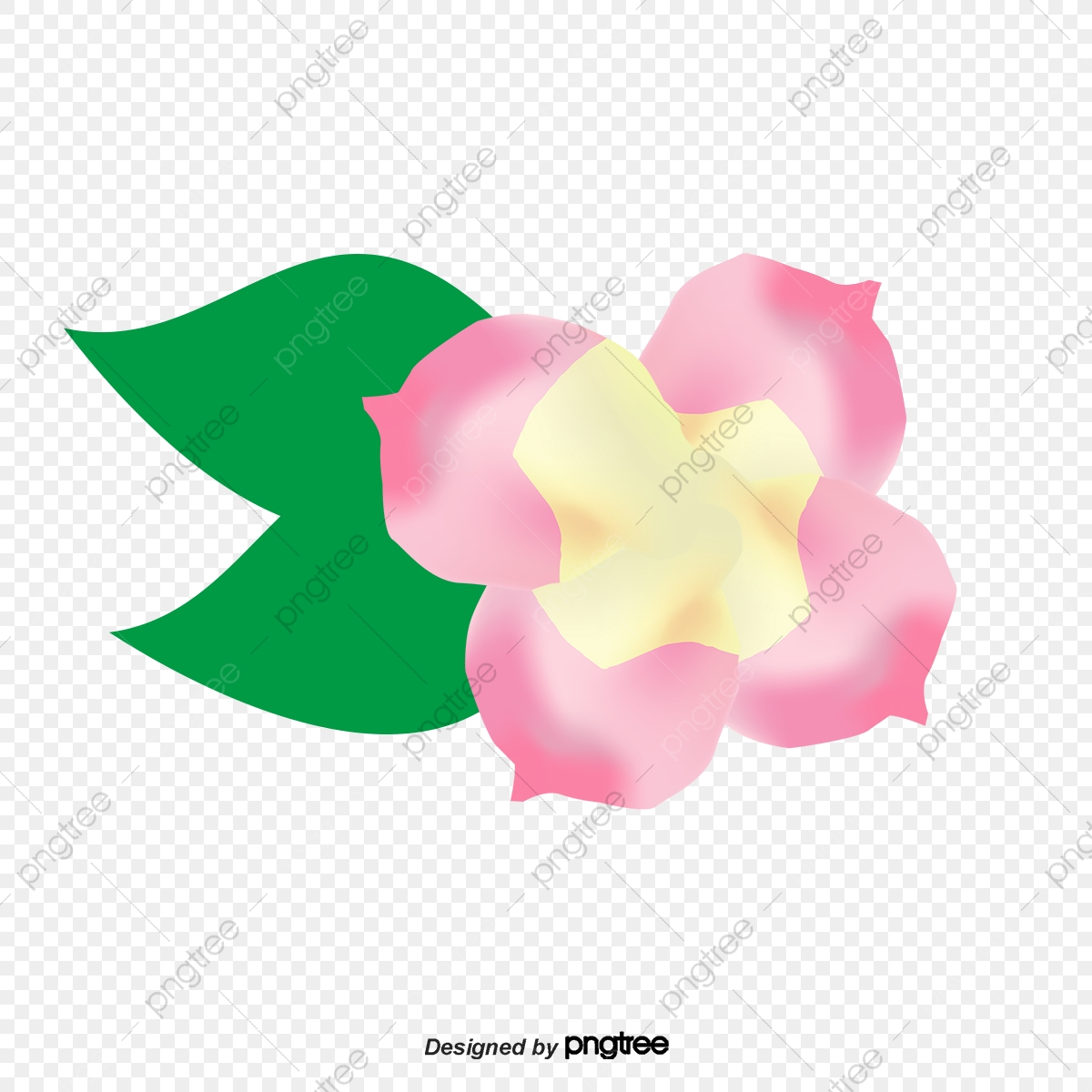 1200x1200 Vector Plumeria, Plumeria, Cartoon Plumeria, Vector Flowers Png