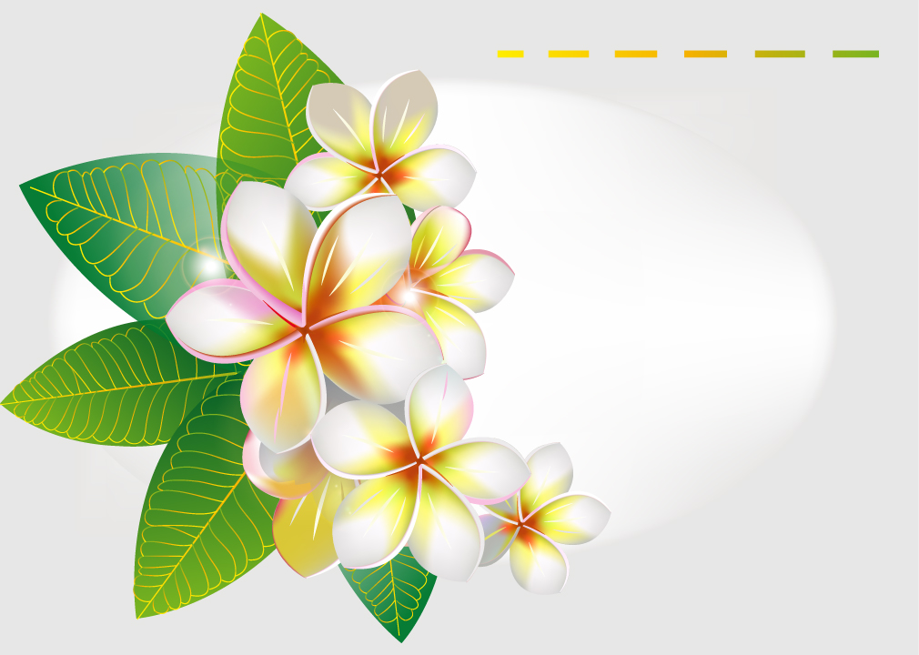 Plumeria Vector At Collection Of Plumeria Vector Free