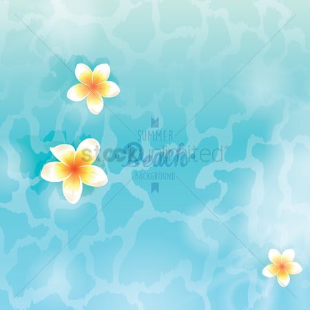 Free Plumeria Background Stock Vectors Stockunlimited 450x450 Free Plumeria Background Stock Vectors Stockunlimited