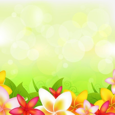 Natural Background With Garland From Plumeria, Vector Illustration 450x450 Natural Background With Garland From Plumeria, Vector Illustration