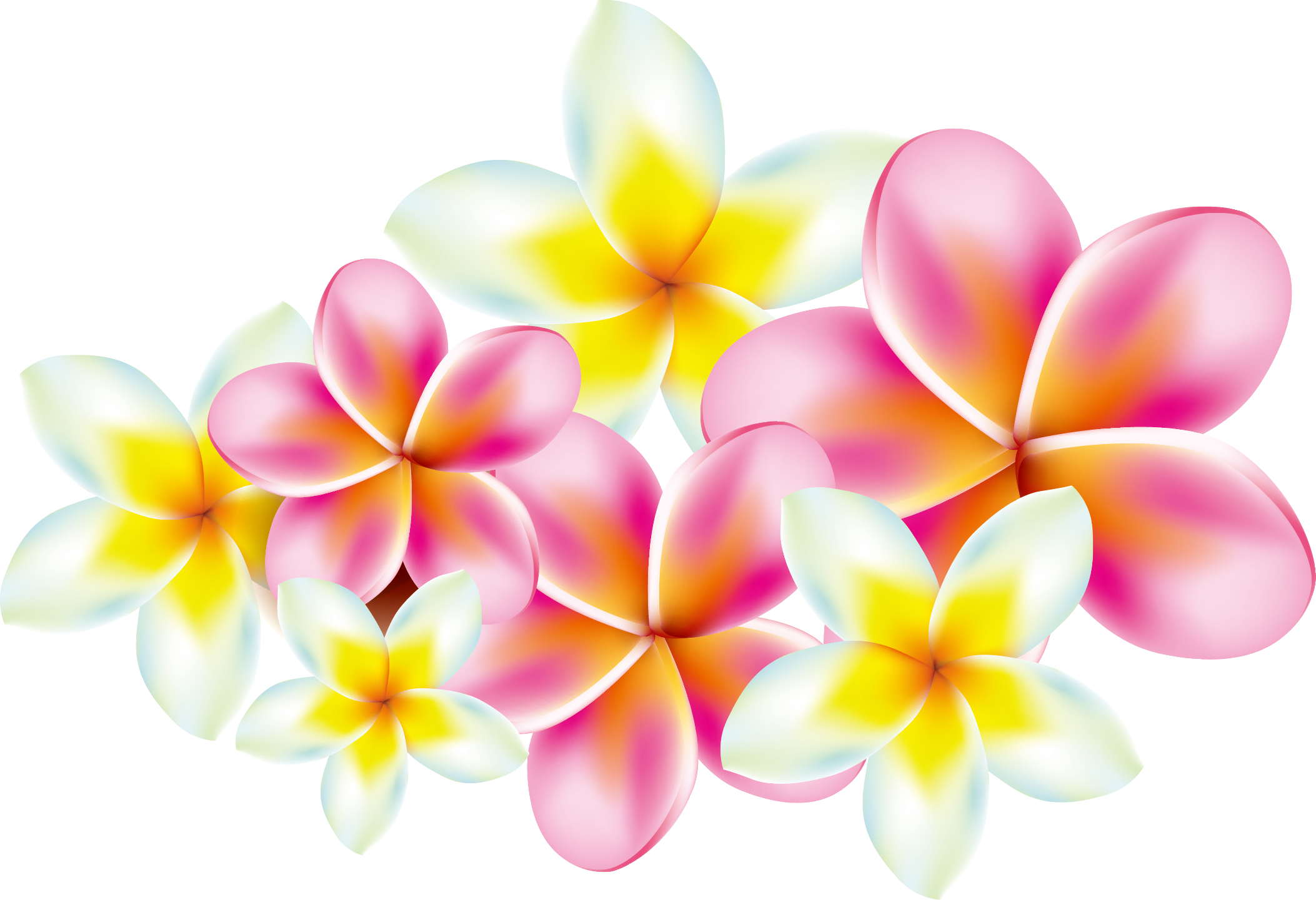 Plumeria Vector Free at Vectorified.com | Collection of Plumeria Vector ...