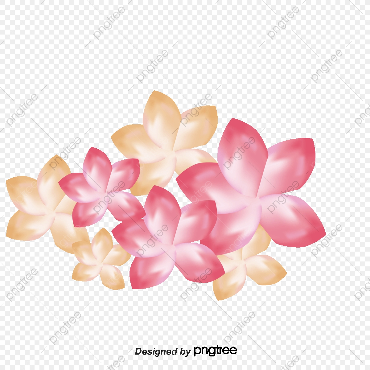 Plumeria, Flowers, Pattern Png And Vector With Transparent 1200x1200 Plumeria, Flowers, Pattern Png And Vector With Transparent