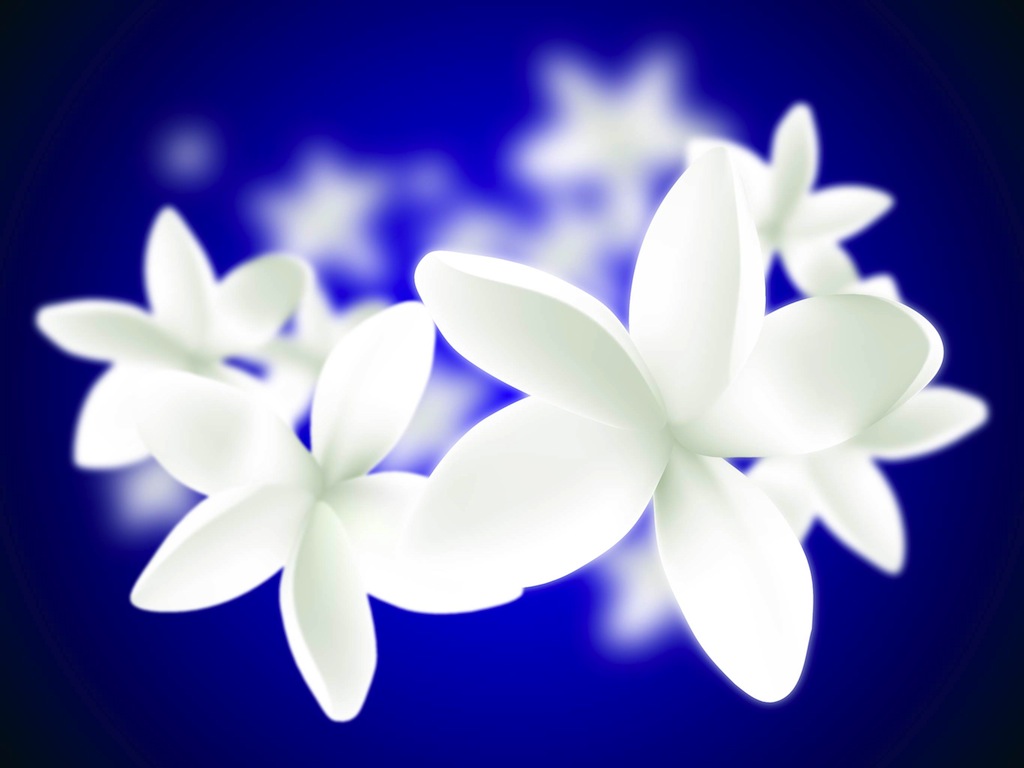 Plumeria Illustration Vector Art Graphics 1024x768 Plumeria Illustration Vector Art Graphics