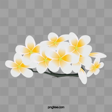 Plumeria Png, Vector, And Clipart With Transparent Background 360x360 Plumeria Png, Vector, And Clipart With Transparent Background