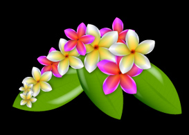 Plumeria Vector Flowers Free Vector 273x195 Plumeria Vector Flowers Free Vector