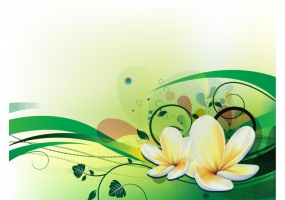 Plumeria Flower Free Vector Graphic Art Free Download 285x200 Plumeria Flower Free Vector Graphic Art Free Download