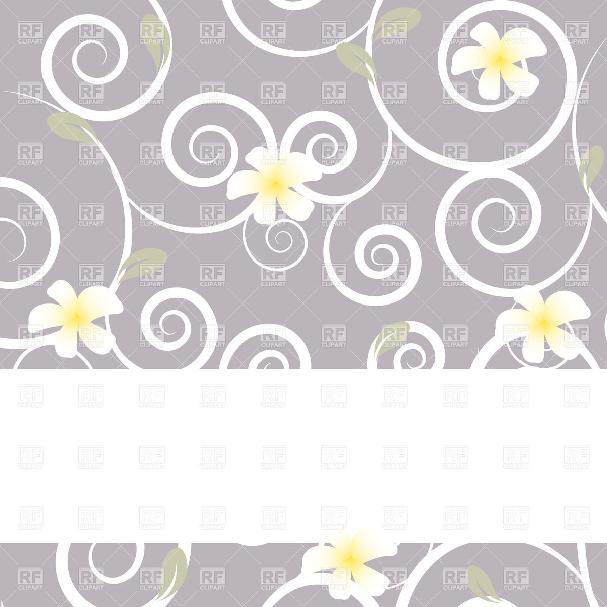 Tropical Flowers Frangipani 1200x1200 Tropical Flowers Frangipani