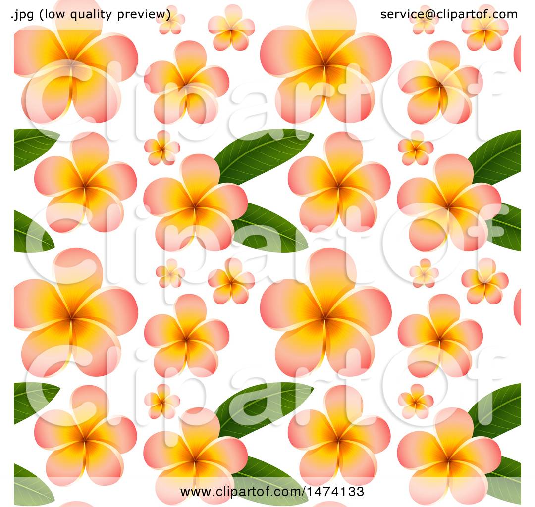 Clipart Of A Seamless Pattern Of Frangipani Plumeria Flowers 1080x1024 Clipart Of A Seamless Pattern Of Frangipani Plumeria Flowers