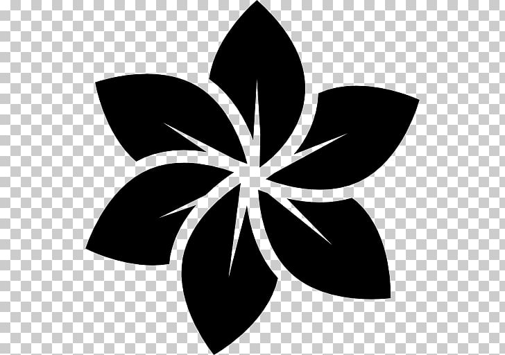 Flower Logo Black And White Plumeria Png Clipart Free Cliparts 728x512 Flower Logo Black And White Plumeria Png Clipart Free Cliparts
