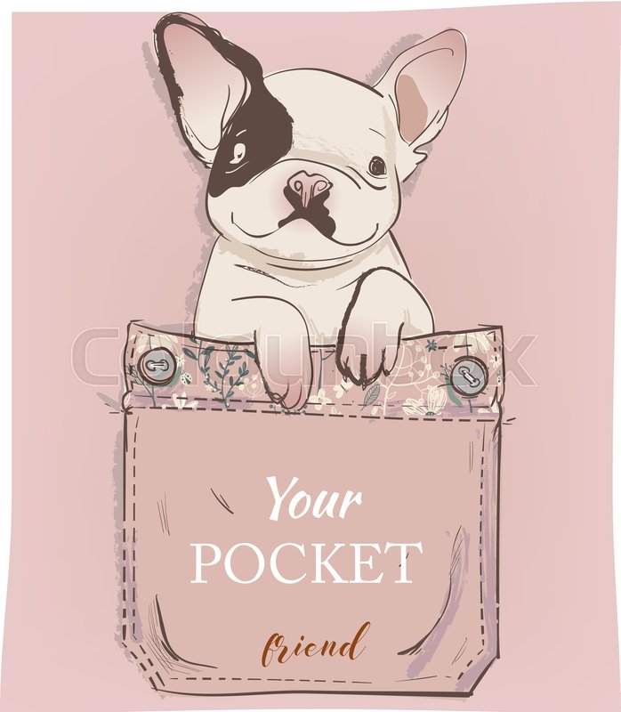698x800 Little Pug In Pocket Vector Stock Vector Colourbox
