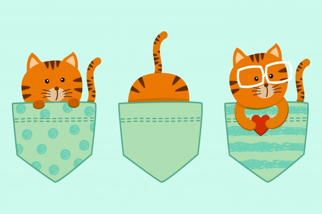 626x417 Pocket Vectors, Photos And Free Download