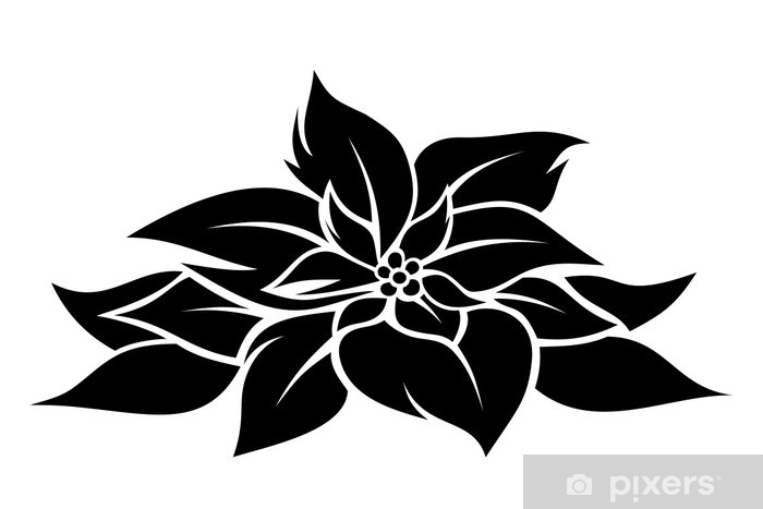 700x467 Christmas Poinsettia Vector Black Silhouette Wall Mural Pixers