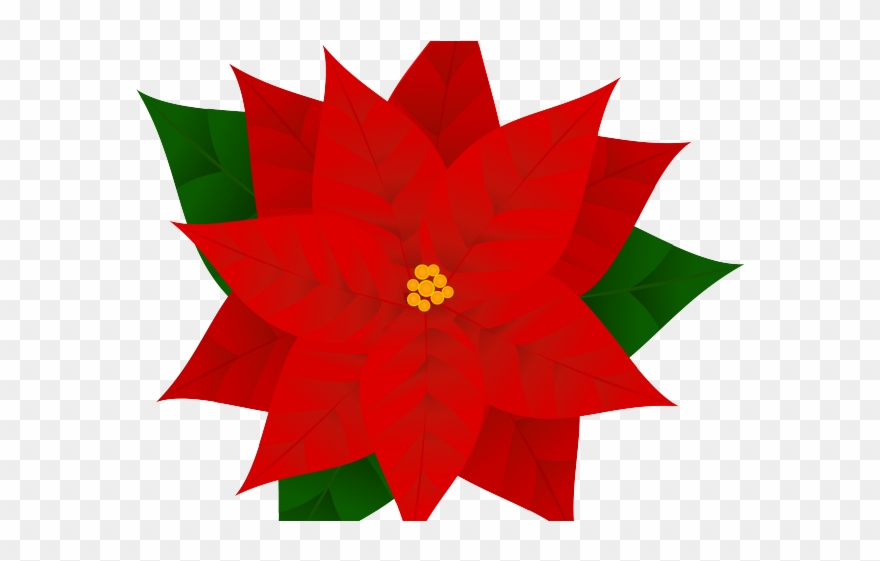 880x561 Poinsettia Clipart Symbol