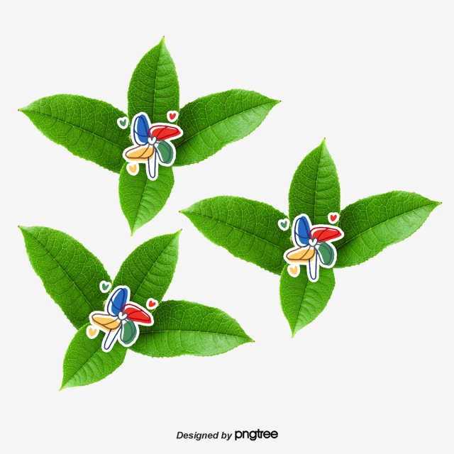 640x640 Poinsettia Png, Vector, And Clipart With Transparent