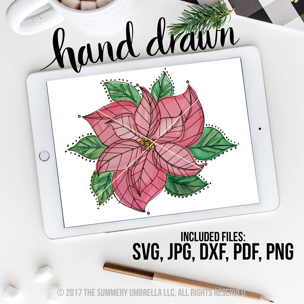 1000x1000 Poinsettia Vector Lz Cathcart