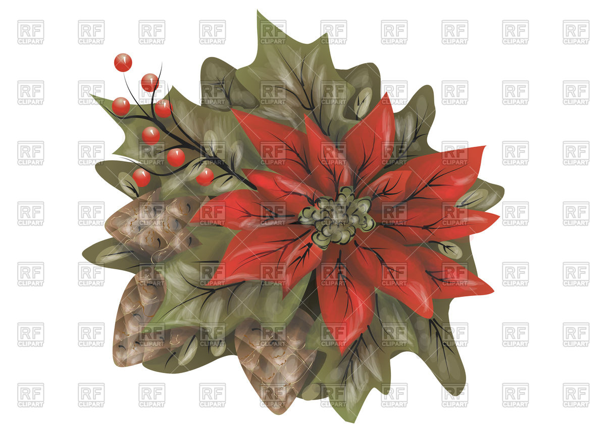 1200x849 Poinsettia Vector Image Of Plants And Animals Arkela