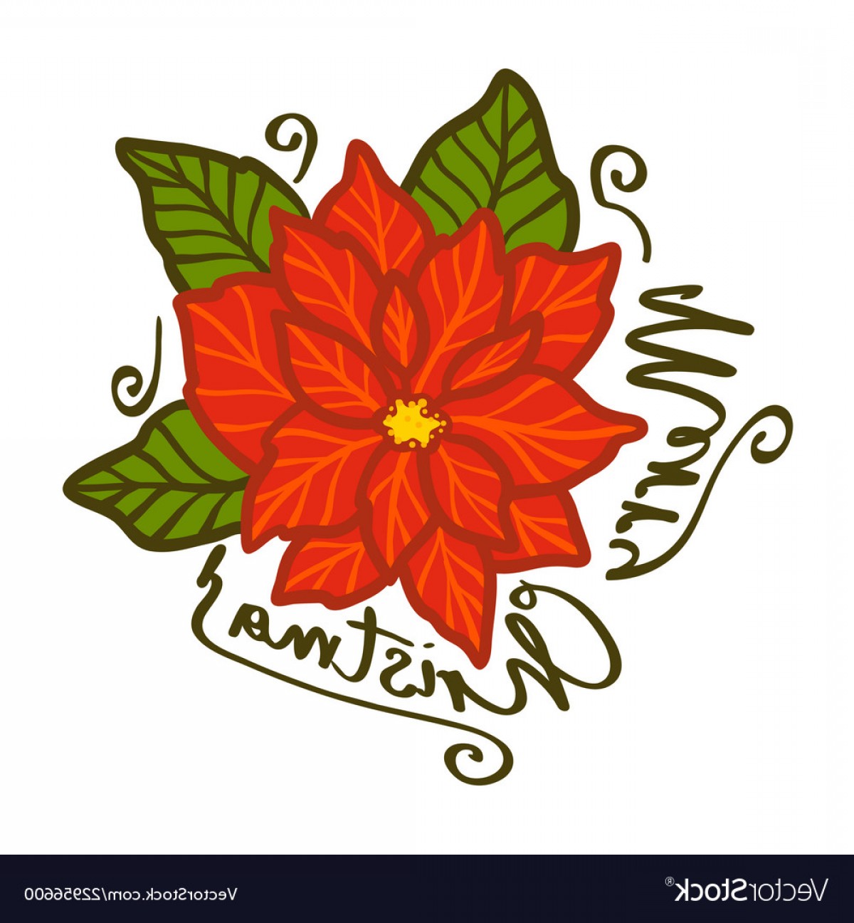 1200x1296 Poinsettia Vector Presents Catchsplace