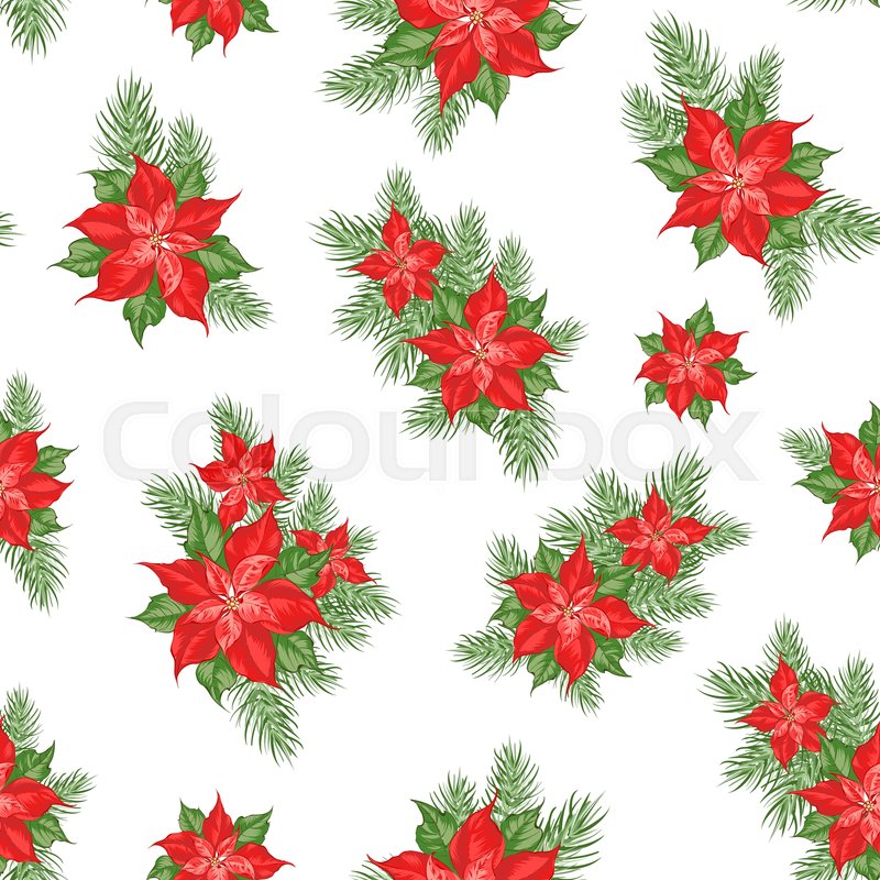 800x800 Red Poinsettia Flower Pattern Stock Vector Colourbox