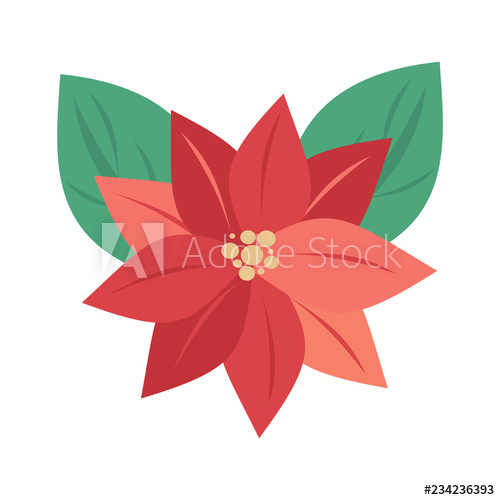 500x500 Cute Cartoon Christmas Flower Poinsettia Vector Illustration