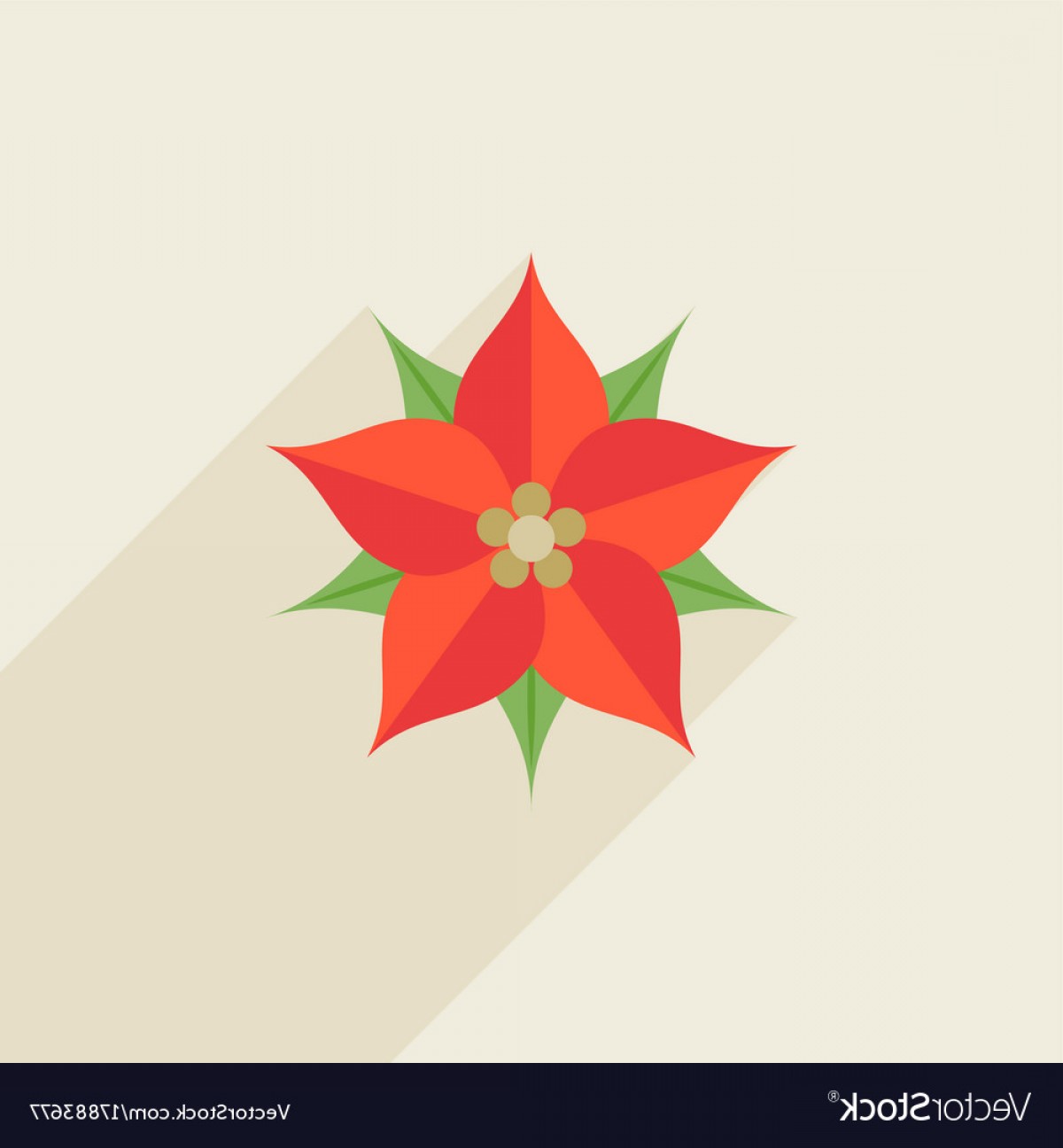 Poinsettia Vector at Vectorified.com | Collection of Poinsettia Vector ...