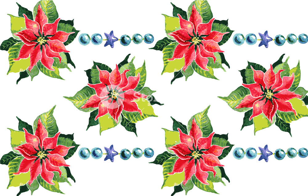 1000x636 Christmas Background With Red Poinsettia Vector Watercolor