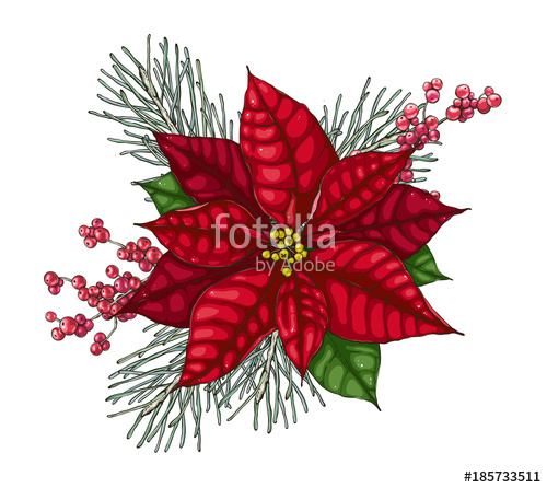 500x446 Christmas Decoration With Red Poinsettia Vector Greeting Card