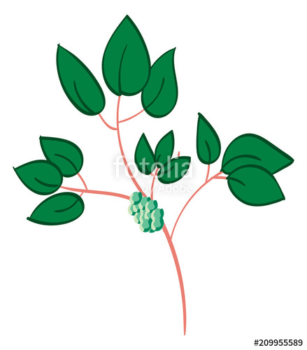 Poison Ivy, Simple Illustration Stock Image And Royalty Free 439x500 Poison Ivy, Simple Illustration Stock Image And Royalty Free