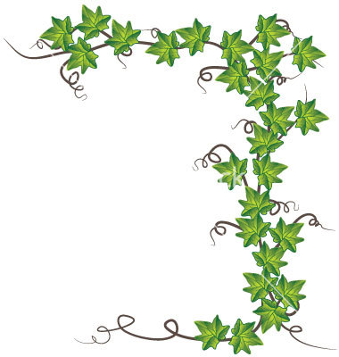 Ivy Vector Free Images 380x400 Ivy Vector Free Images