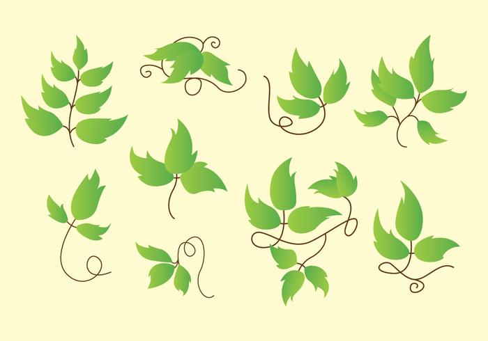Poison Ivy Icons 700x490 Poison Ivy Icons