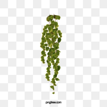 Poison Ivy Png, Vector, And Clipart With Transparent 360x360 Poison Ivy Png, Vector, And Clipart With Transparent