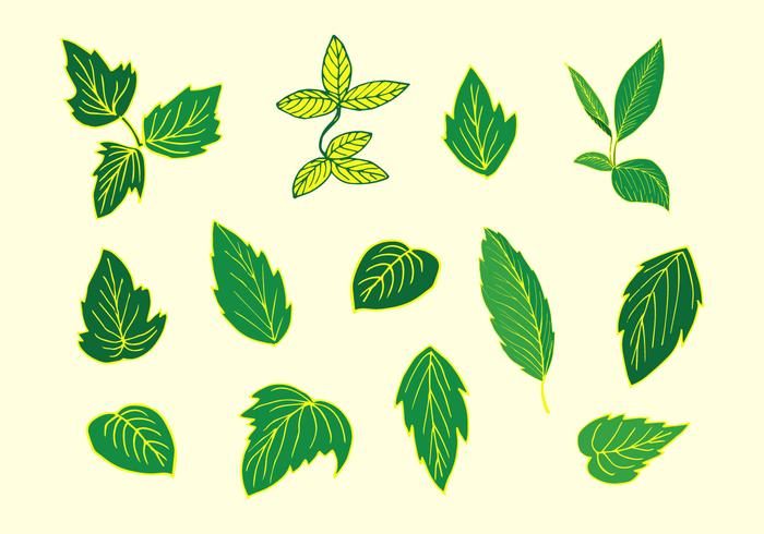 Poison Ivy Vector 700x490 Poison Ivy Vector
