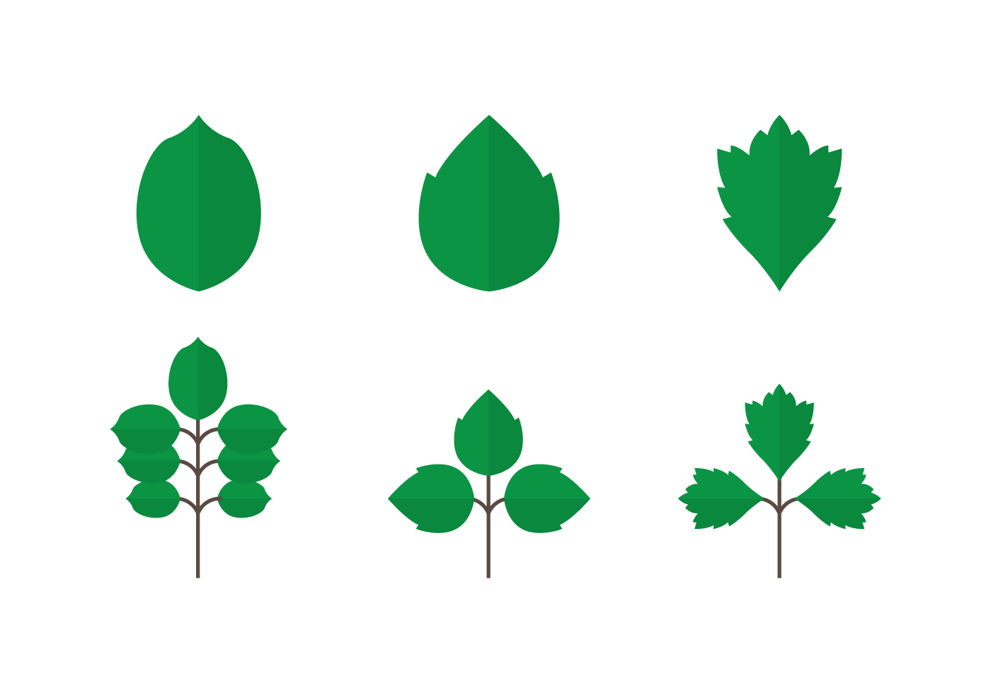 Poison Oak Free Vector Art 1400x980 Poison Oak Free Vector Art