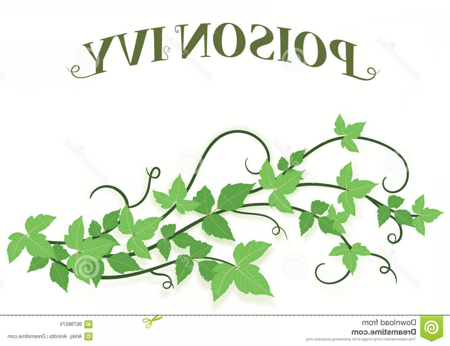 Stock Illustration Poison Ivy Vines Background Viney Title Image 1560x1200 Stock Illustration Poison Ivy Vines Background Viney Title Image