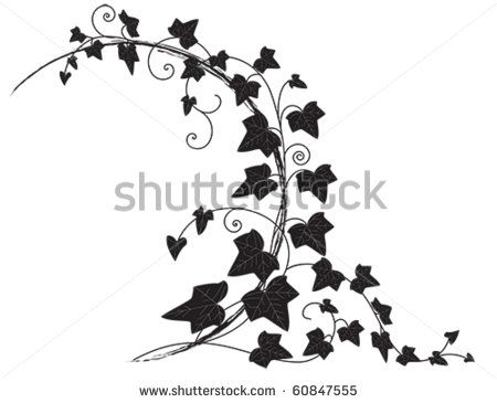 Vector Frame With Branch Of Ivy Poison Ivy Ivy Tattoo, Ivy 450x365 Vector Frame With Branch Of Ivy Poison Ivy Ivy Tattoo, Ivy